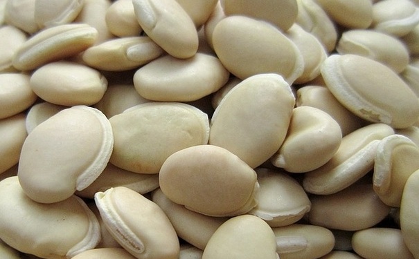 白扁豆的出力与用意有哪些 白扁豆有什么收成