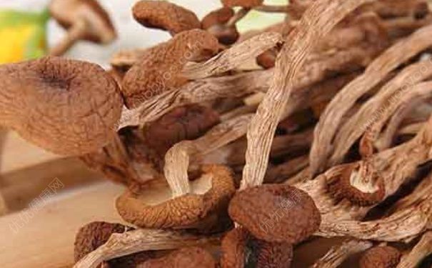 茶树菇有什么营养？吃茶树菇胃疼怎么处理？(3)