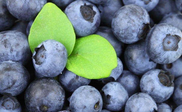 蓝莓表面白色物质是什么？蓝莓怎么吃最好吃？(1)
