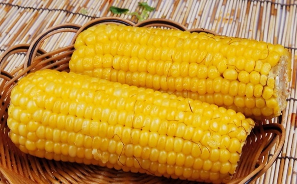 玉米的功效与作用是什么 常吃玉米的好处有哪些
