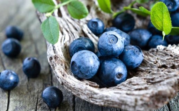 蓝莓有哪些保健功效？蓝莓的保健作用有哪些？(1)