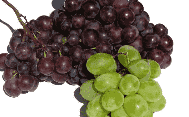 葡萄怎么洗才能洗干净？多吃葡萄对身体有什么好处？(1)