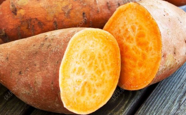 红薯的热量是多少？红薯的热量和减肥功效(1)
