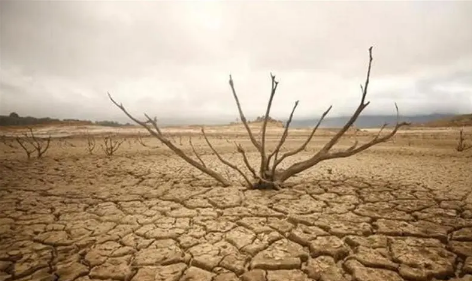 2023四川干旱季节在几月到几月 四川为什么容易发生干旱