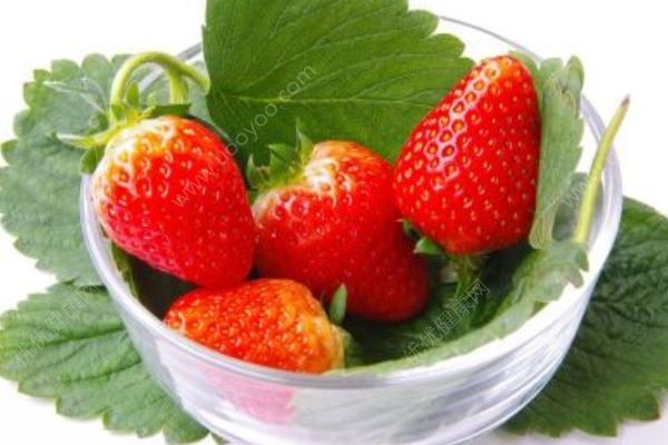 草莓有哪些营养价值？选购草莓有哪些窍门？(1)