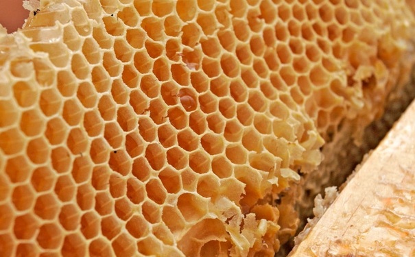 蜂王浆是什么东西？蜂王浆应该怎么食用？(1)
