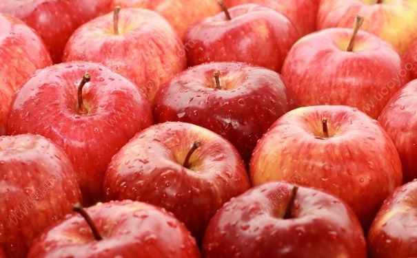 苹果和蜂蜜可以一起吃吗？苹果和蜂蜜同食好吗？(6)