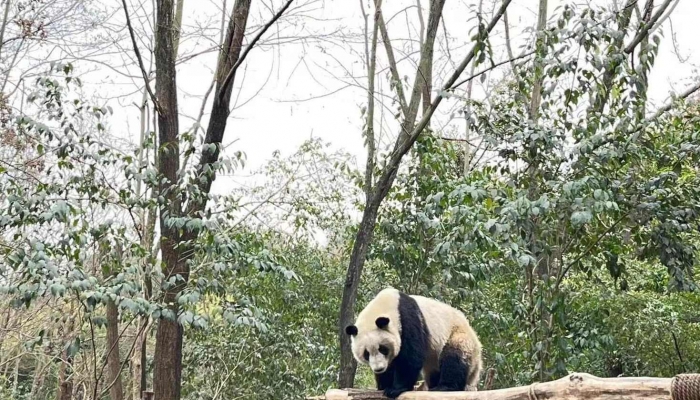 《一缕新悲花多么》电视剧