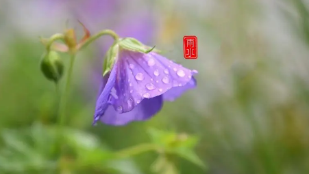 2023年重庆五月份雨水多吗3