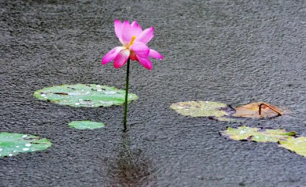 ​7月份是雨季吗 7月份的降水量大约是多少