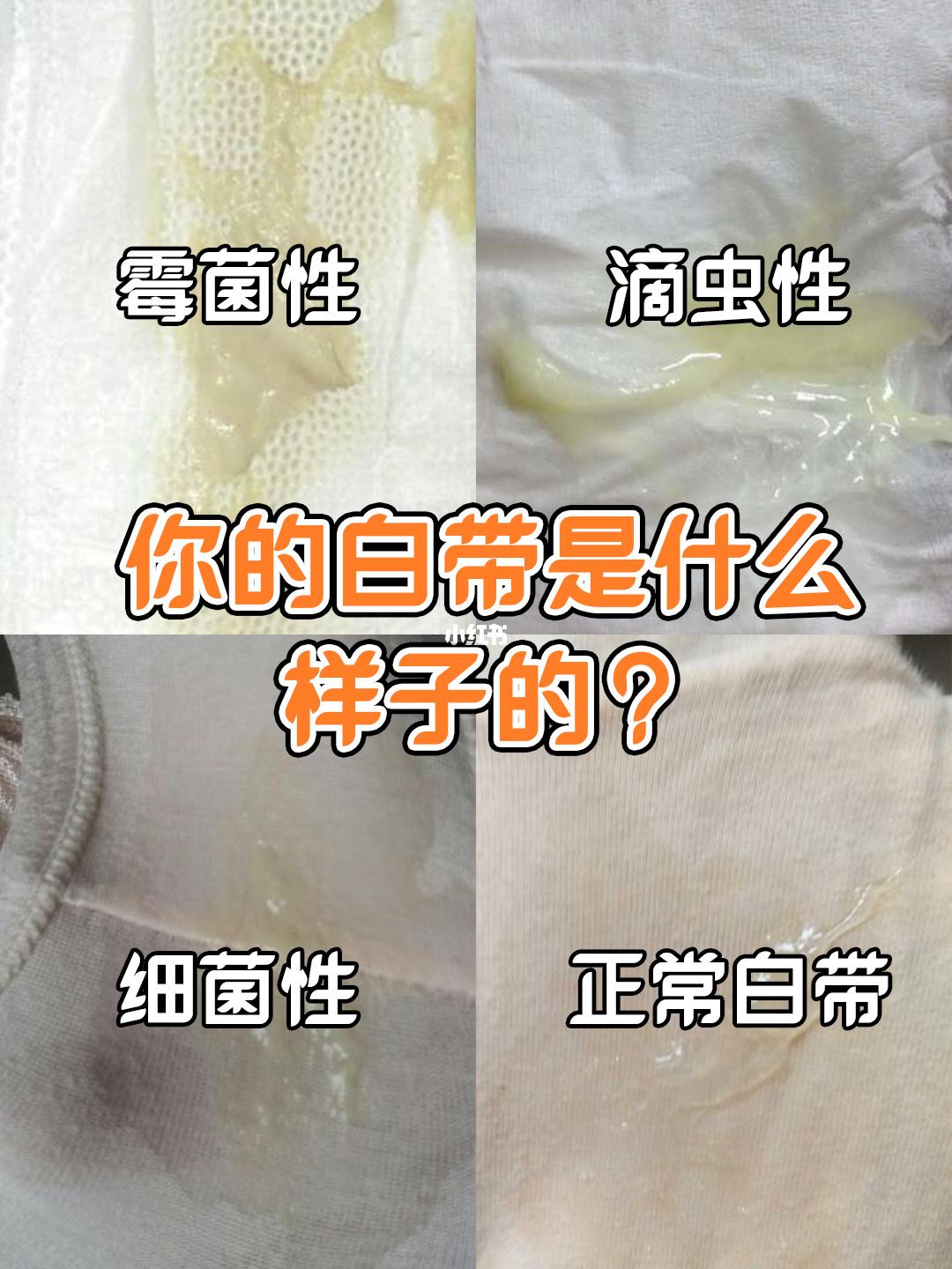 《专横狂的麦咭第3季》最新一期,选散残破版下浑正在线没有雅不雅旁没有雅不雅