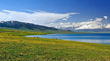 2023年6月份去新疆热吗3