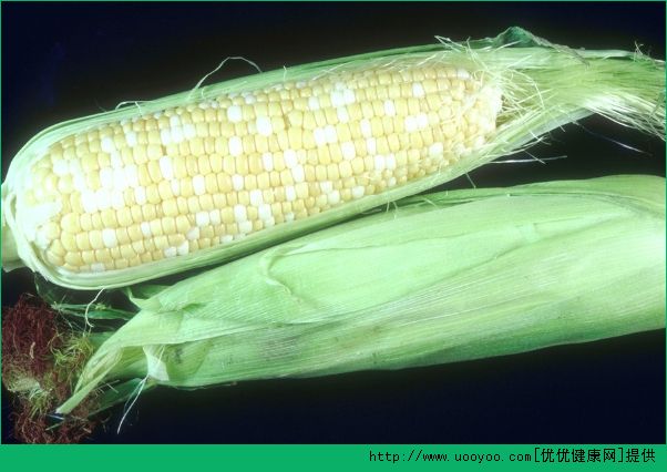 糖尿病人可以吃玉米吗 糖尿病人吃玉米好不好