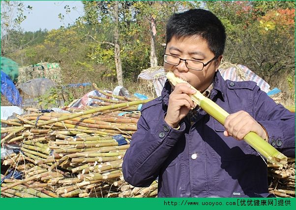 甘蔗能和苹果一起吃吗？甘蔗和苹果能一起吃吗？(5)