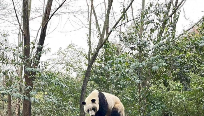 《百变马丁第6季》动漫