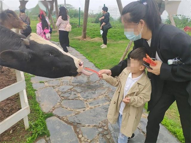 《五世同堂》在线观看