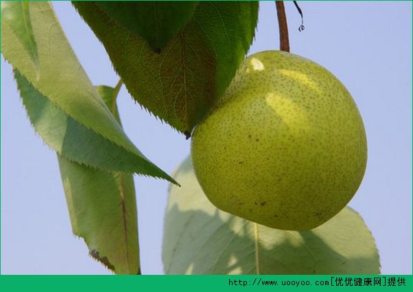 《为食总司令2010》最新一期,选散残破版下浑正在线没有雅不雅旁没有雅不雅