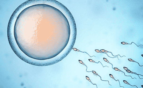 血精症的危害有哪些？血精症要如何治疗？(1)