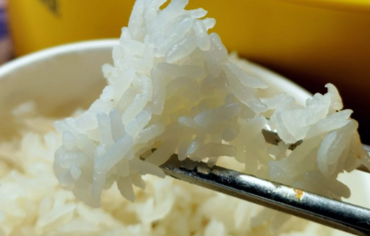 白芸豆米饭热量高不高 吃白芸豆米饭能减肥吗