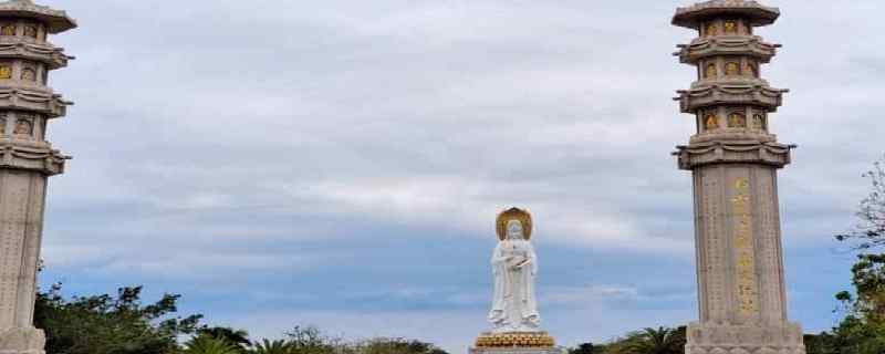 《锦上添花》在线观看