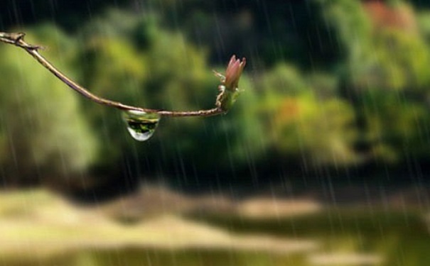 梅雨季节如何防潮？梅雨季节房间潮湿怎么办？(1)