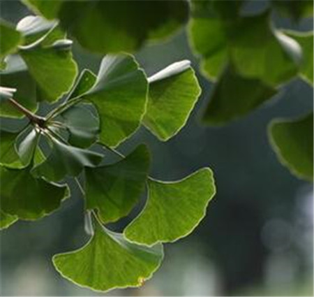 实装机械瞄准《风暴战区》即将重现单机游戏经典