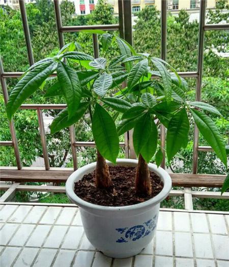 攀上漂亮女白领最新章节