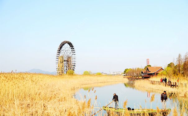 废土之我是神级御兽师最新章节