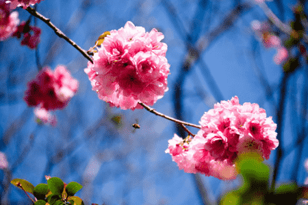 来了就有奖 《虎符传奇》明日霸气开测