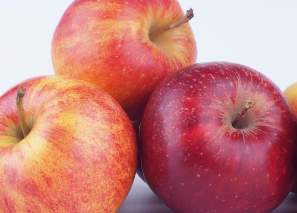 吃苹果对肾有好处吗 养分厚实,保证肾脏所需