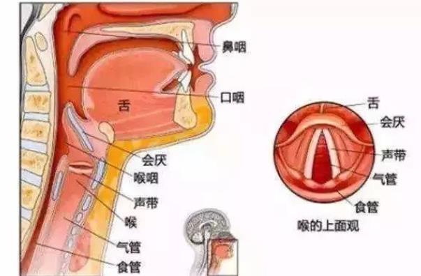 聪明女人若何抓住外子心？