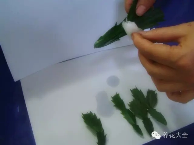 《上菜第两季》最新一期,选散残破版下浑正在线没有雅不雅旁没有雅不雅