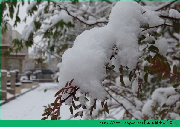 大雪节气 记得防寒保暖和养生(1)