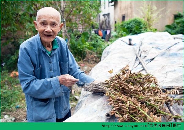 怎样保养肾精？养精蓄锐的几种方法(4)