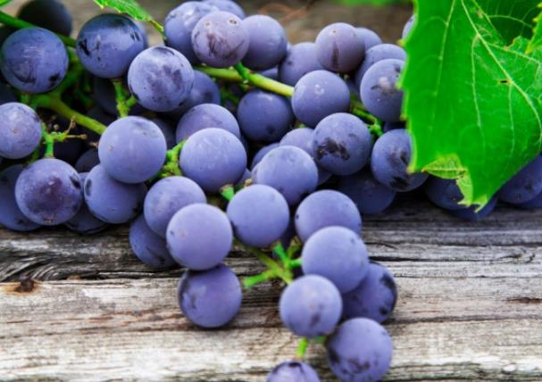 吃葡萄可能美白吗 维生素肃清体内自正在基激动角质脱落