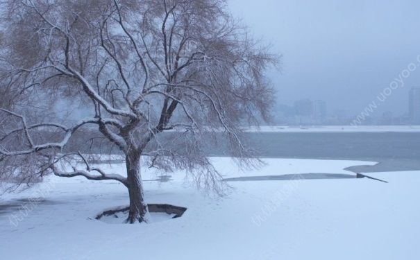 今年冬天会很冷吗？冬天很冷怎么度过？(3)