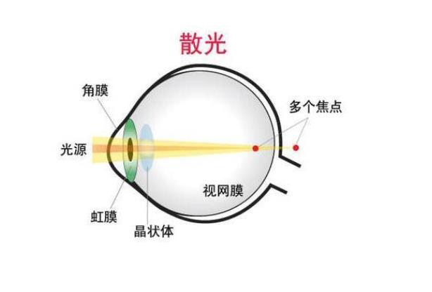 《致命24小时粤语》片子残破版