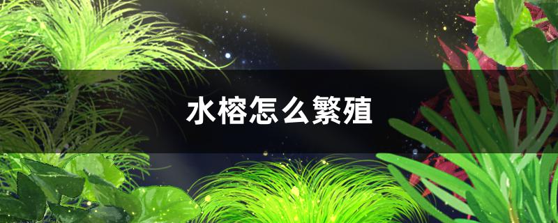 异界之魔武大帝最新章节