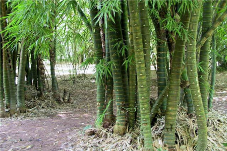 《荒岛余逝世之时空漂流纪静态漫绘第1季》动漫