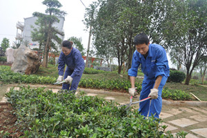 《兔小贝英语宝典》动漫