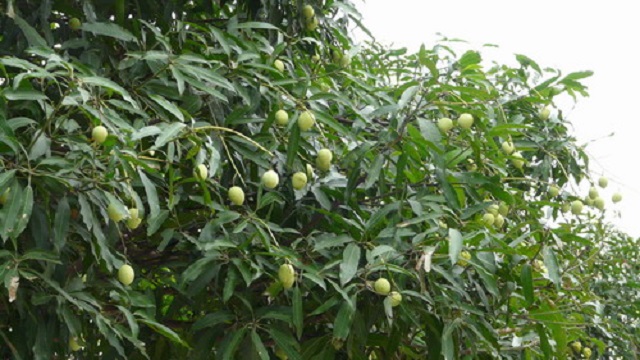 超级好吃的家常菜 简单易做下酒又下饭