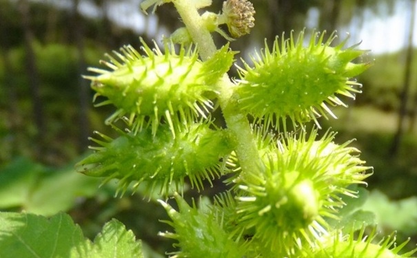 五四青年节，设计不设限——大咖设计师对话青年设计师