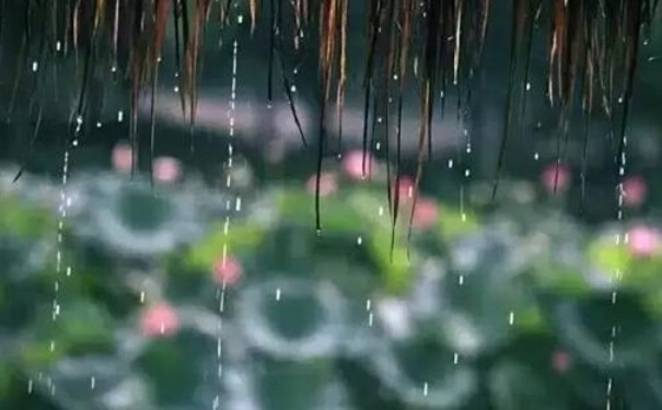 梅雨是梅雨什么时候？梅雨季节是什么时候？(1)