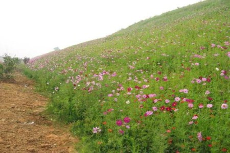 铁柱，你娶了我吧最新章节