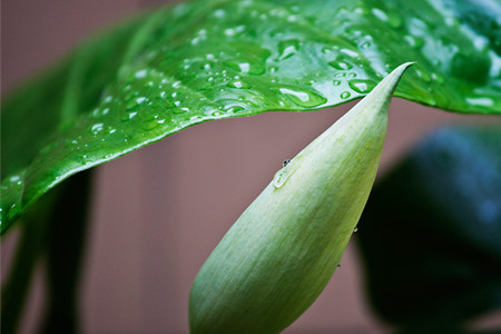 《马桶上的甜蜜生活》在线观看