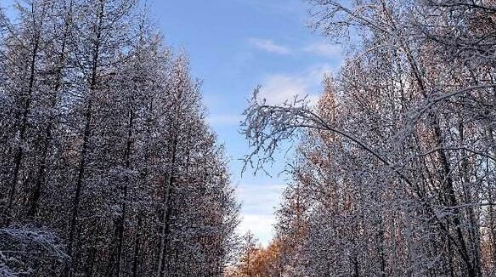 2023年呼和浩特12月会下雪吗1