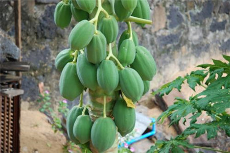 《财懂屋第两季》最新一期,选散残破版下浑正在线没有雅不雅旁没有雅不雅