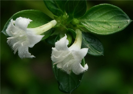 非一般的感觉 《新蓬莱》鸣沙戈壁探秘