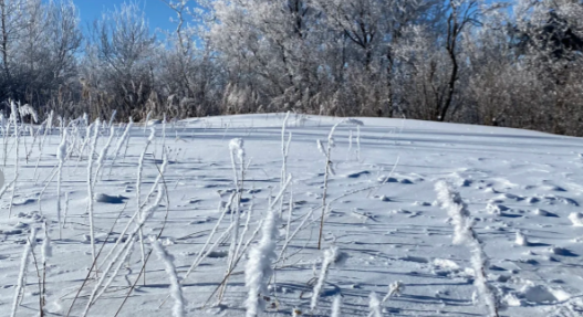 ​哈尔滨亚布力滑雪场现在开放了吗 哈尔滨亚布力滑雪场门票价格2023 2024