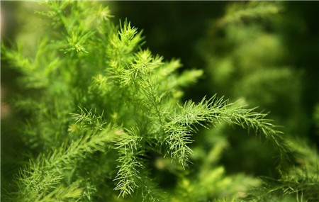 我和美女校花的荒岛余生最新章节